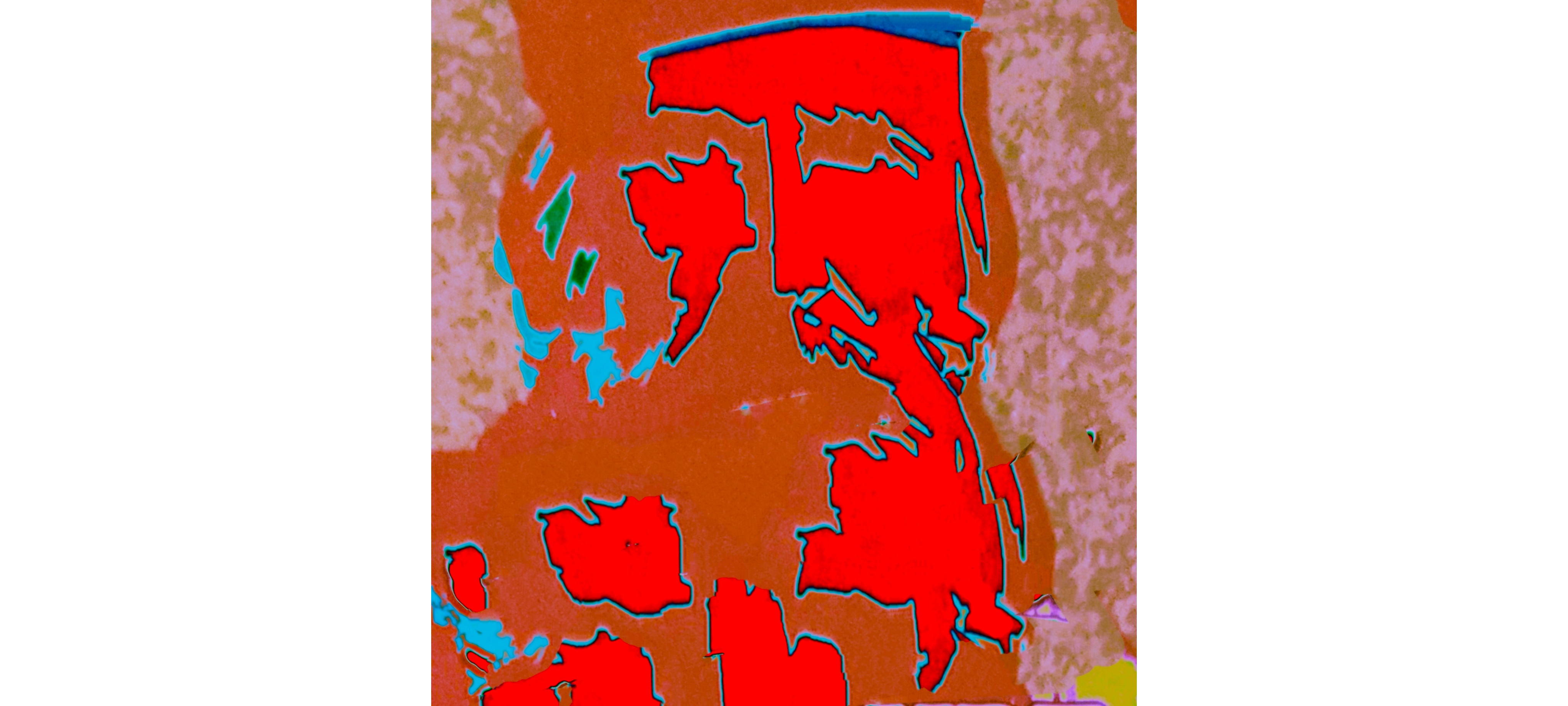 Garibaldi (dopo l'uso)